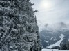 20250214-18_skiing_saalbach_WM_mk066