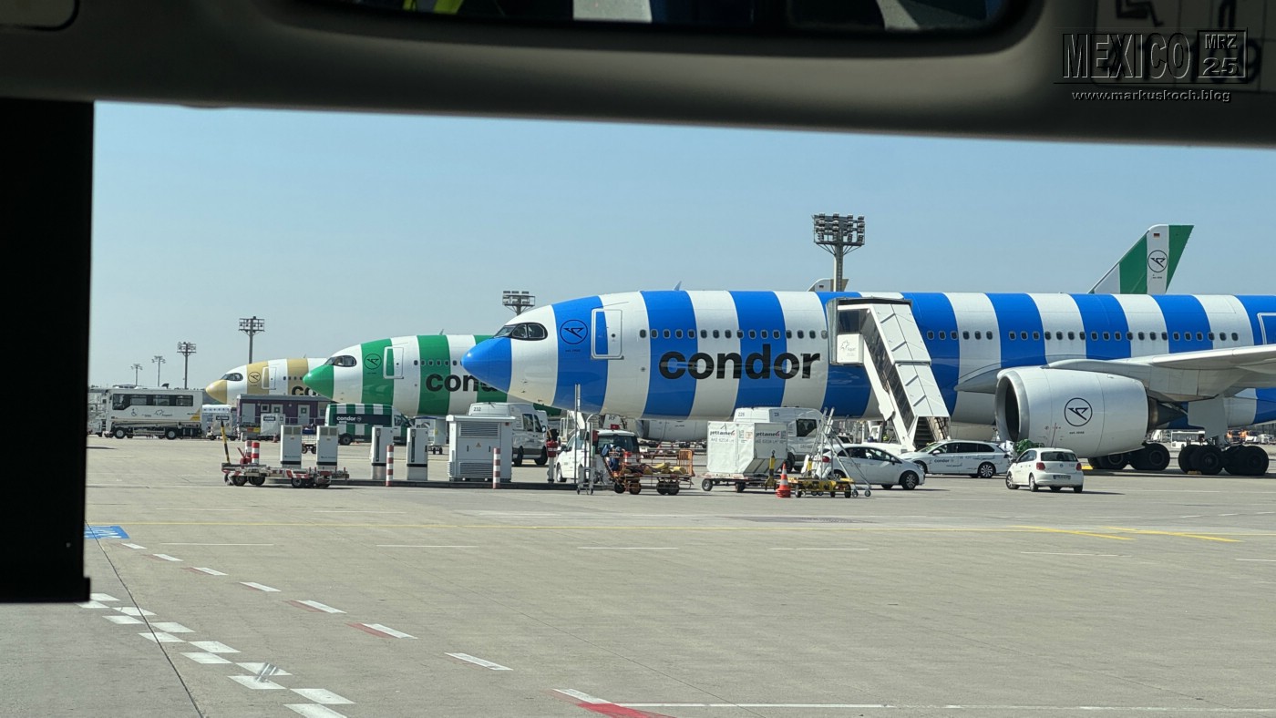 20250316-24_mexiko_baja_california_sur_mk0041