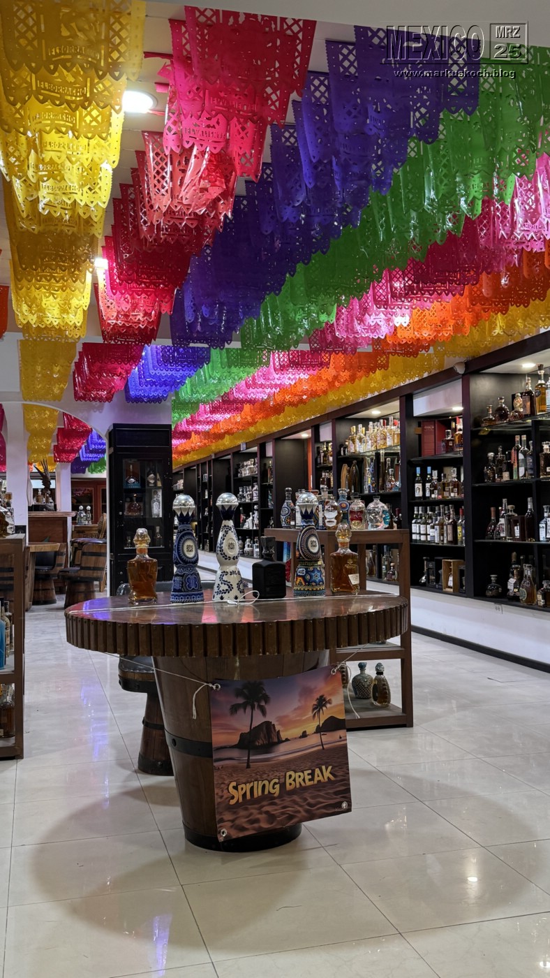 20250316-24_mexiko_baja_california_sur_mk0115