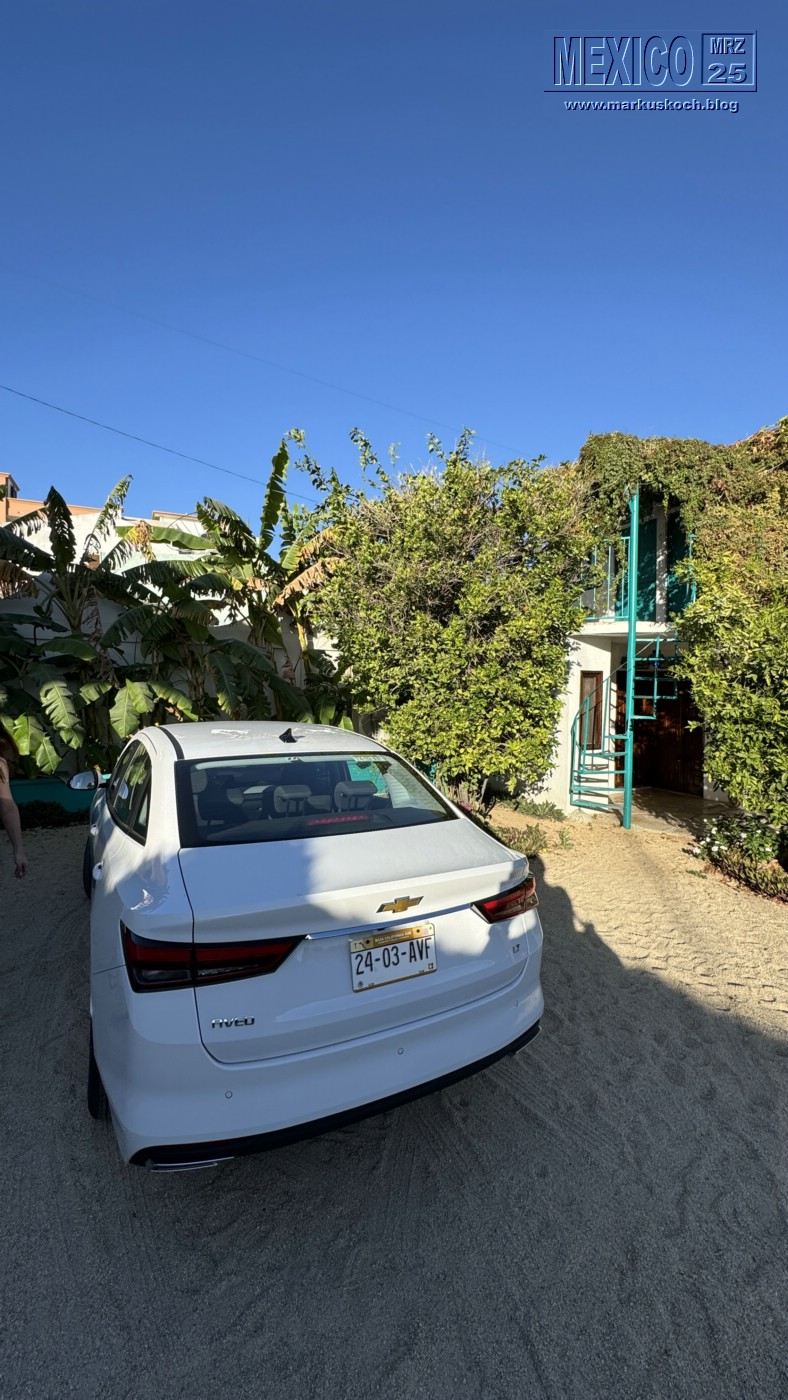 20250316-24_mexiko_baja_california_sur_mk0126