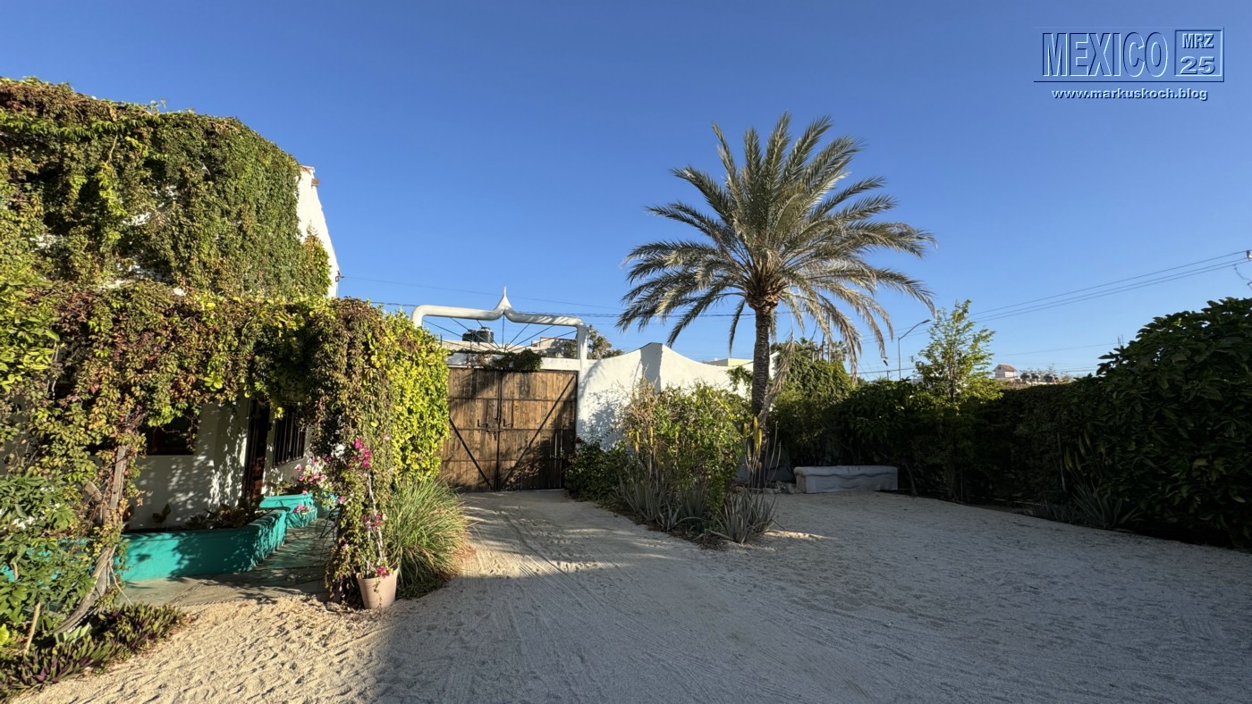 20250316-24_mexiko_baja_california_sur_mk0127