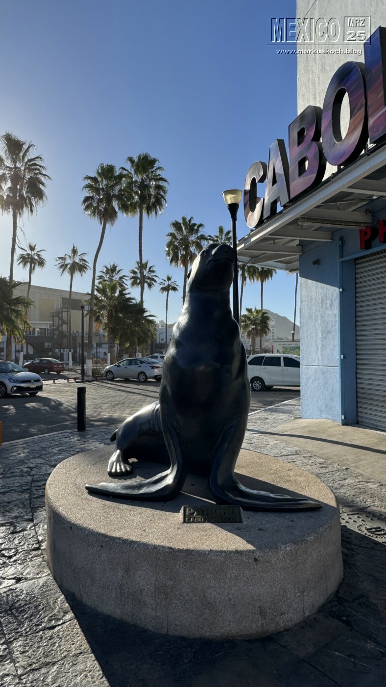 20250316-24_mexiko_baja_california_sur_mk0128