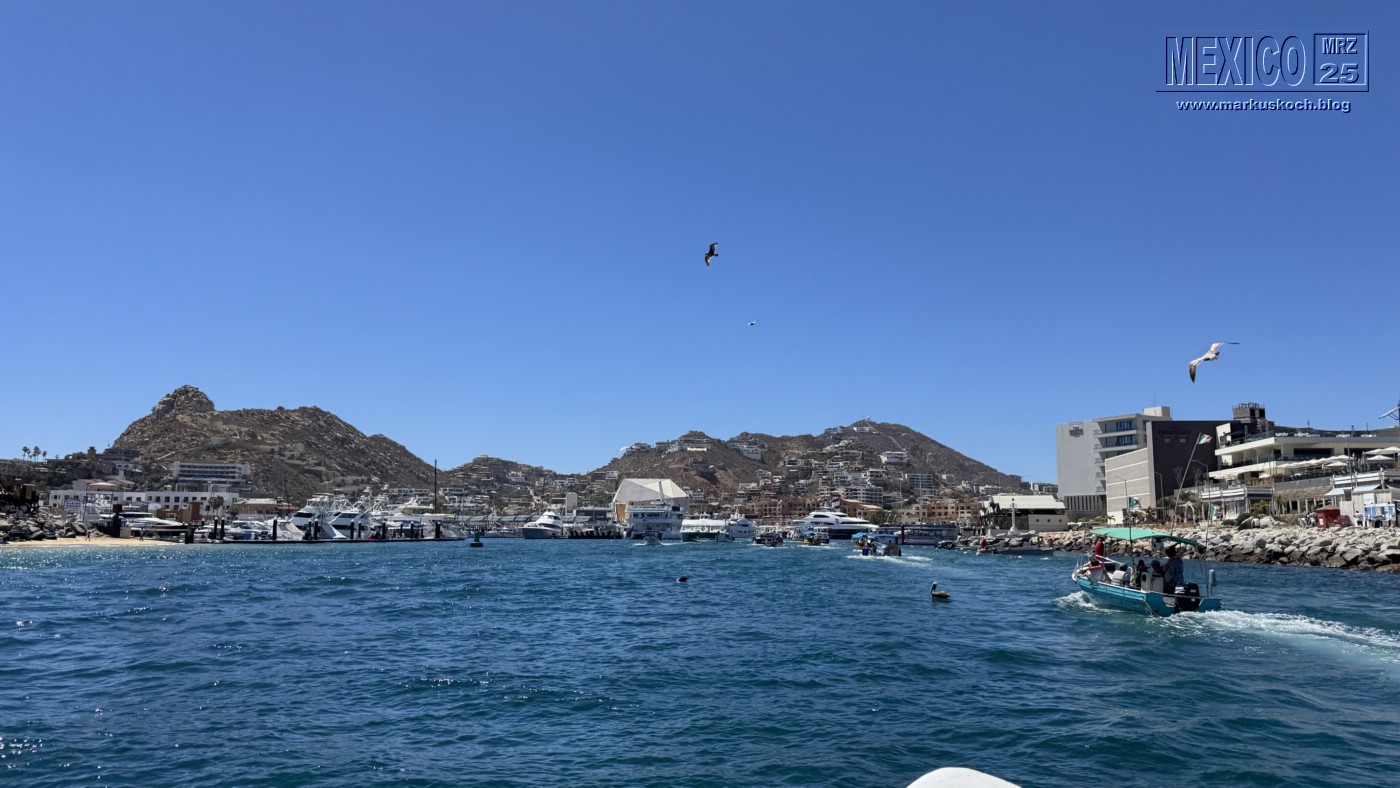 20250316-24_mexiko_baja_california_sur_mk0239