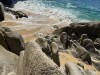 20250316-24_mexiko_baja_california_sur_mk0184
