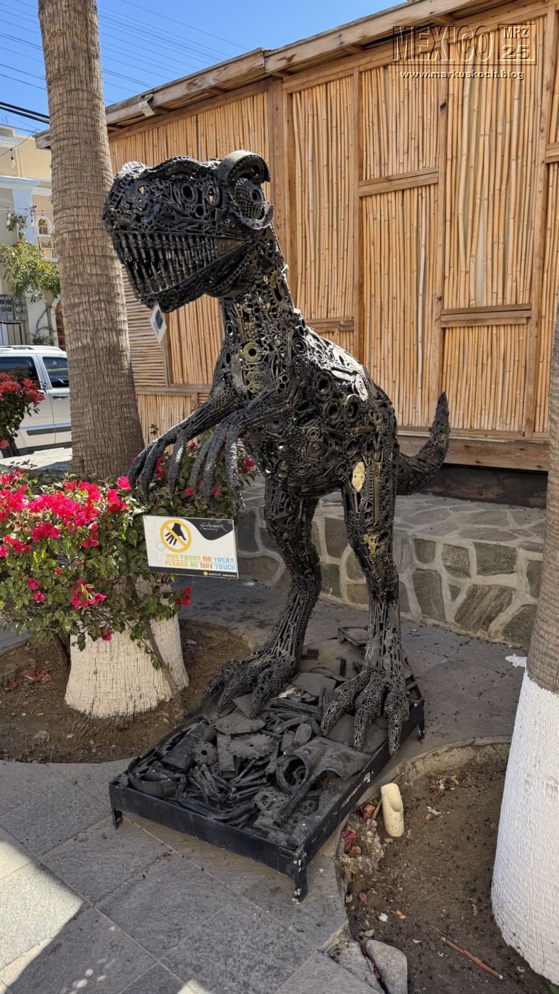 20250316-24_mexiko_baja_california_sur_mk0336