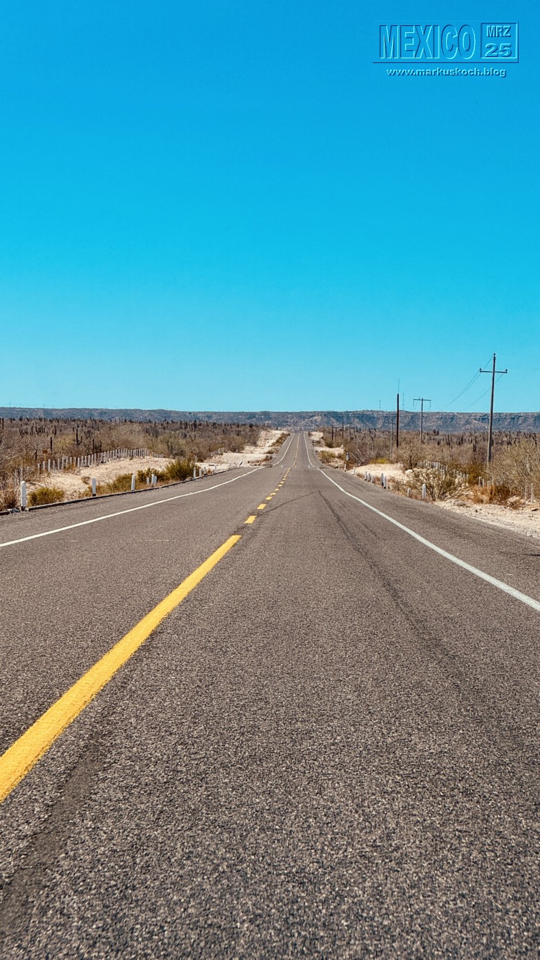 20250316-24_mexiko_baja_california_sur_mk0370