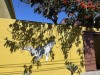 20250316-24_mexiko_baja_california_sur_mk0327