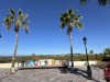 20250316-24_mexiko_baja_california_sur_mk0342