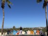 20250316-24_mexiko_baja_california_sur_mk0349