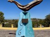 20250316-24_mexiko_baja_california_sur_mk0356