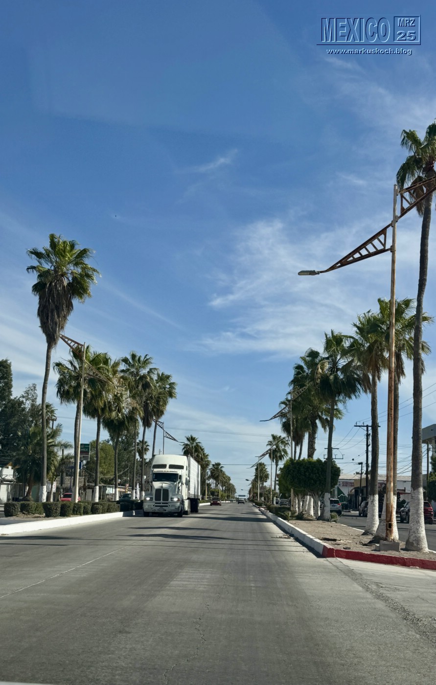 20250316-24_mexiko_baja_california_sur_mk0503