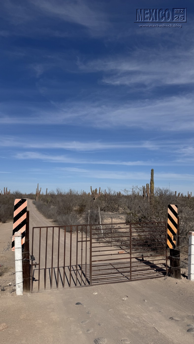 20250316-24_mexiko_baja_california_sur_mk0506