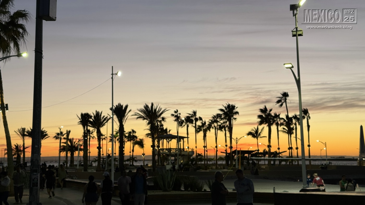 20250316-24_mexiko_baja_california_sur_mk0563