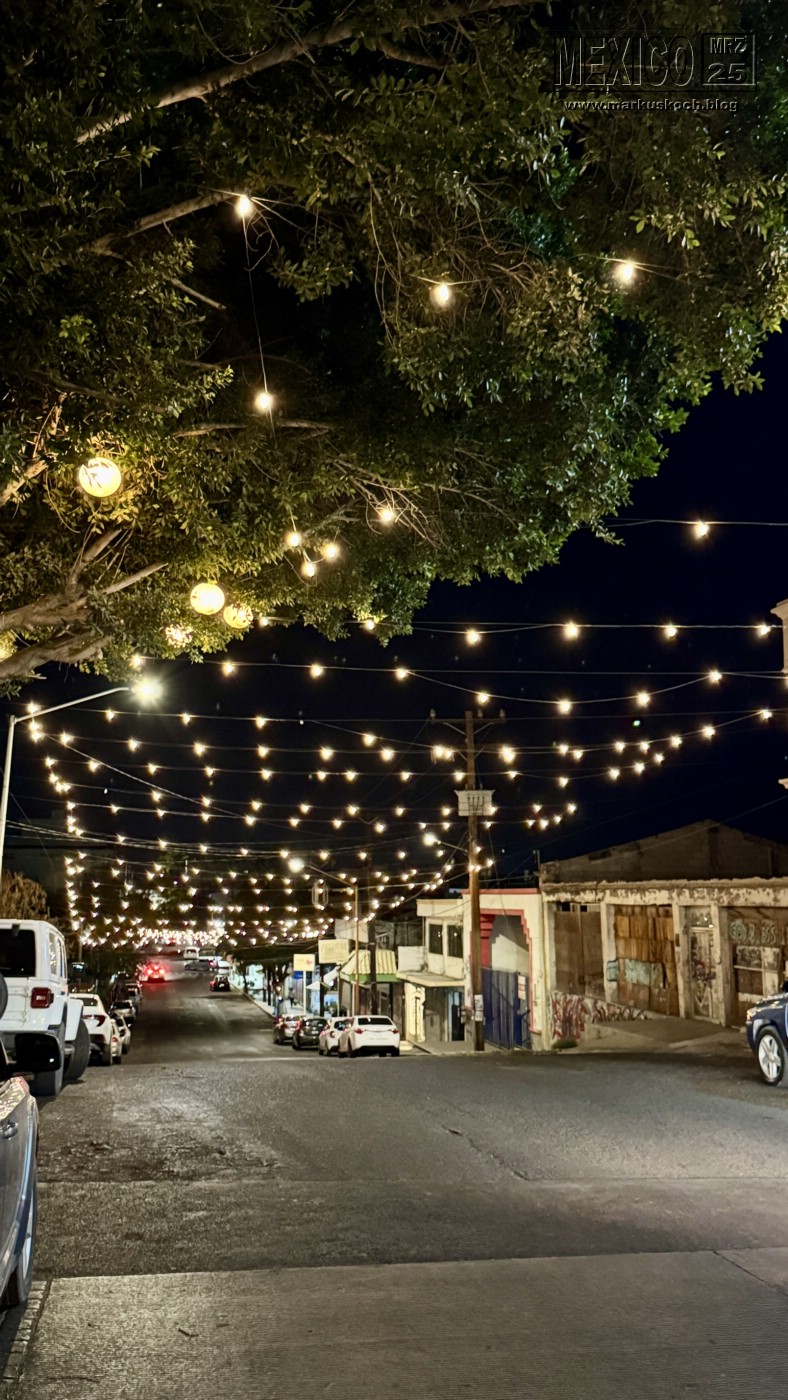 20250316-24_mexiko_baja_california_sur_mk0597