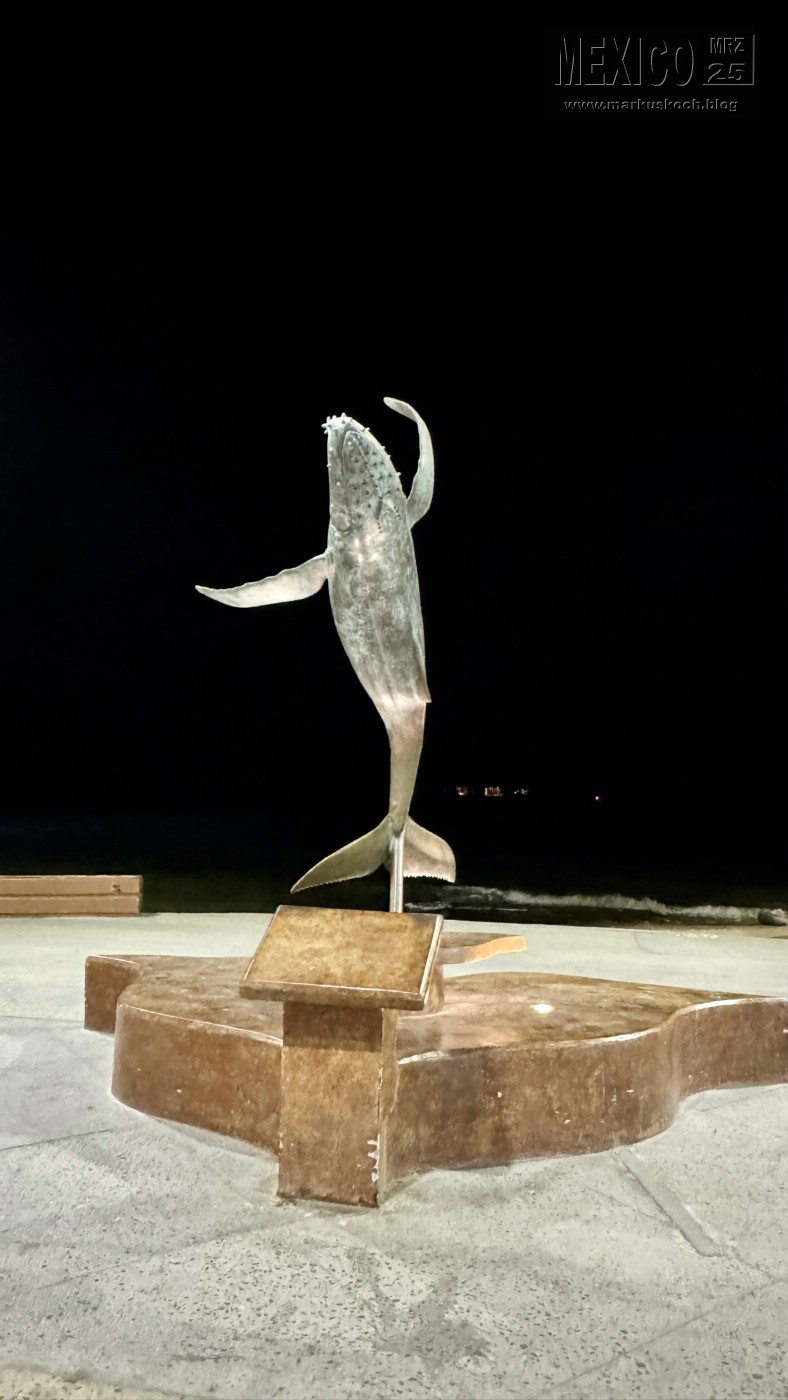 20250316-24_mexiko_baja_california_sur_mk0600