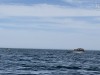 20250316-24_mexiko_baja_california_sur_mk0490
