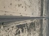 20250316-24_mexiko_baja_california_sur_mk0515