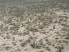 20250316-24_mexiko_baja_california_sur_mk0516