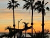 20250316-24_mexiko_baja_california_sur_mk0556
