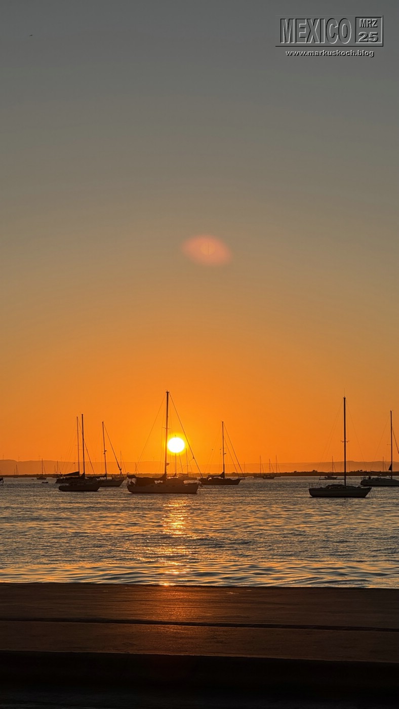 20250316-24_mexiko_baja_california_sur_mk0765