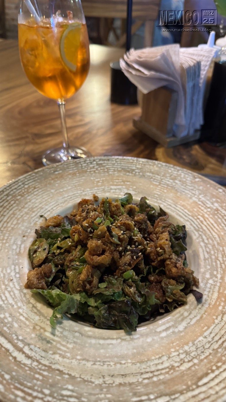 20250316-24_mexiko_baja_california_sur_mk0771