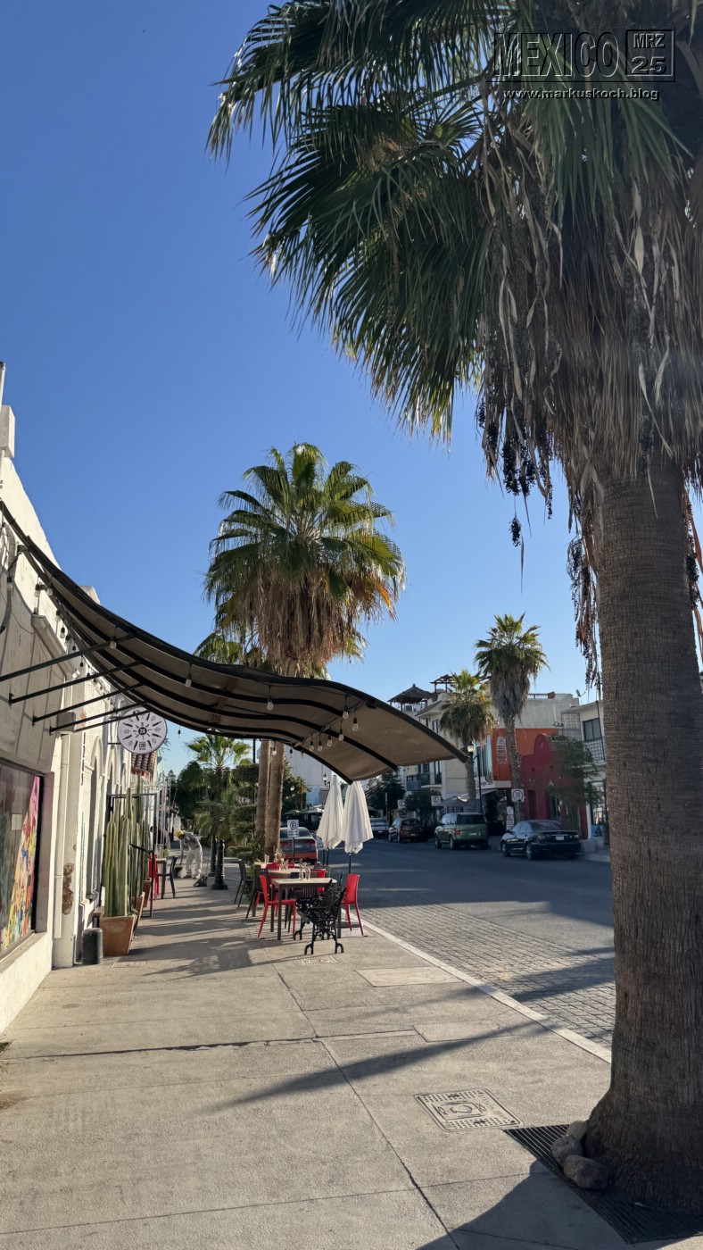 20250316-24_mexiko_baja_california_sur_mk0779