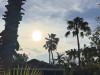 20250316-24_mexiko_baja_california_sur_mk0869