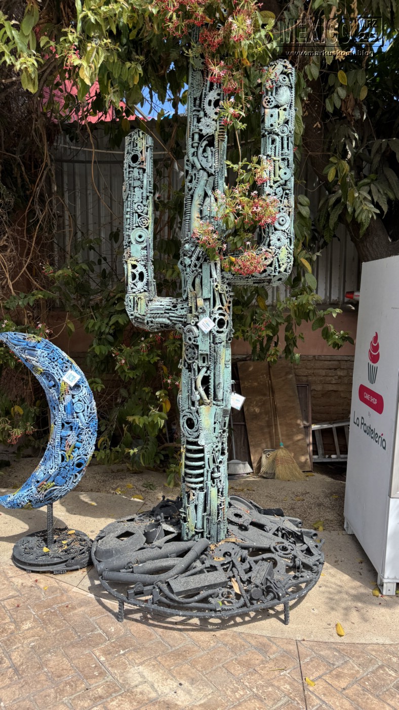 20250316-24_mexiko_baja_california_sur_mk0977