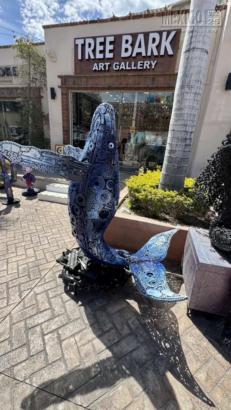 20250316-24_mexiko_baja_california_sur_mk0980