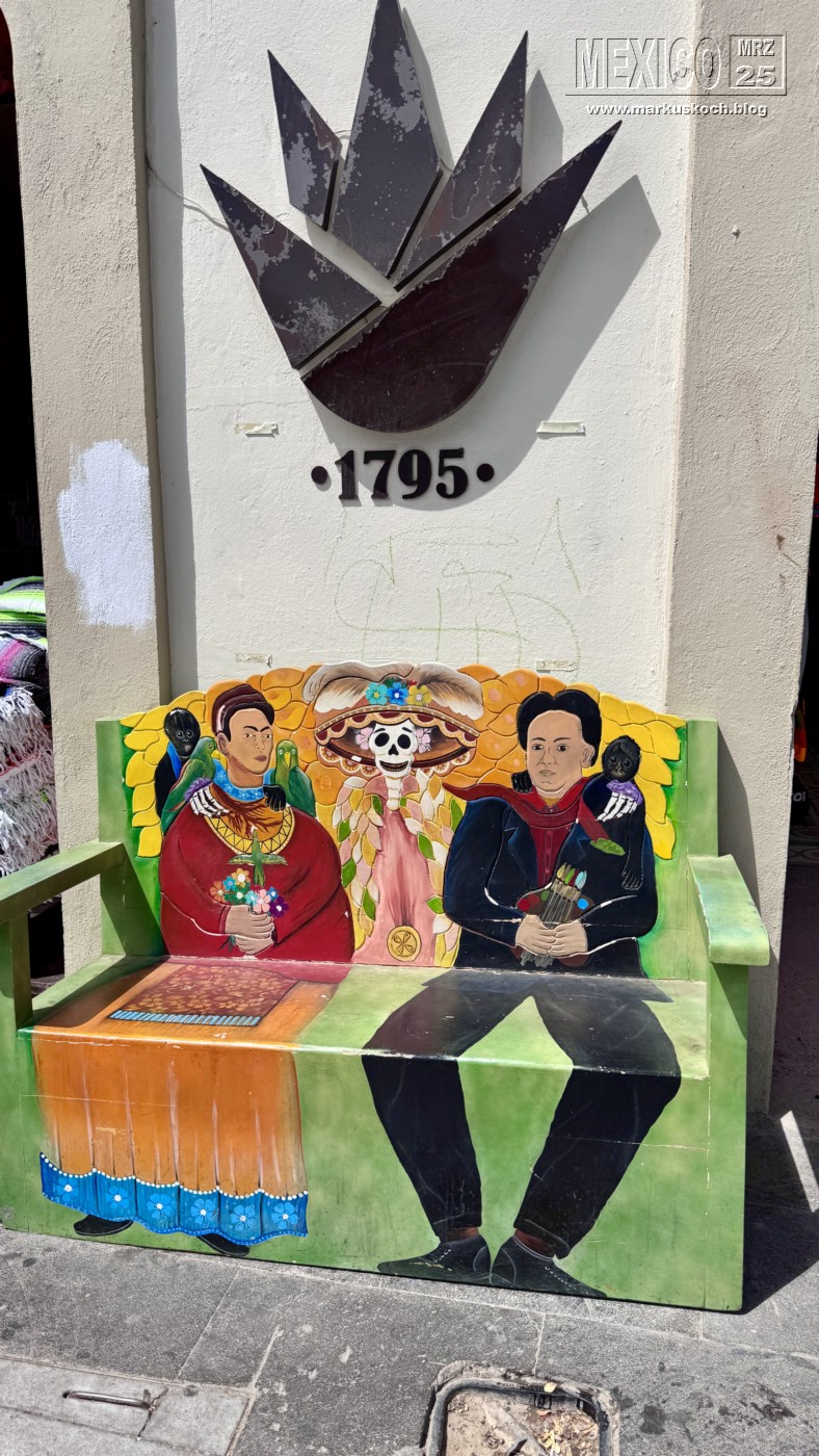 20250316-24_mexiko_baja_california_sur_mk0989