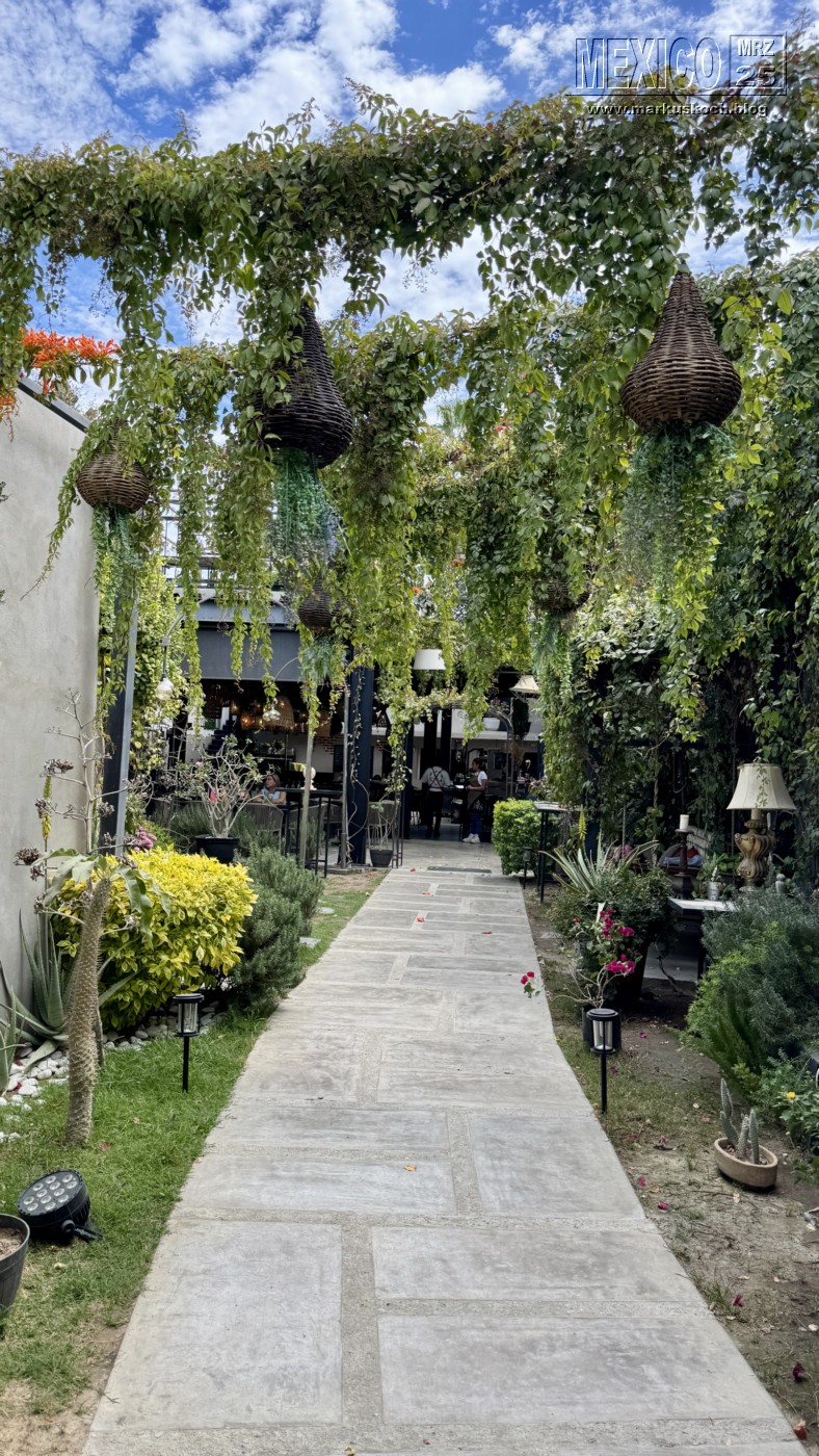 20250316-24_mexiko_baja_california_sur_mk0995