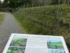 20250417-20_berlin_mk059