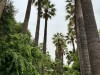20250524-28_athen_mk230