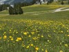 20250619-22_st_johann_pongau_mk238