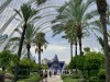 20250731-0803_valencia_mk241