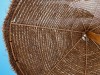 20250731-0803_valencia_mk344