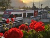 20250816-20_schweiz_rheinfall_jungfrauregion_mk188