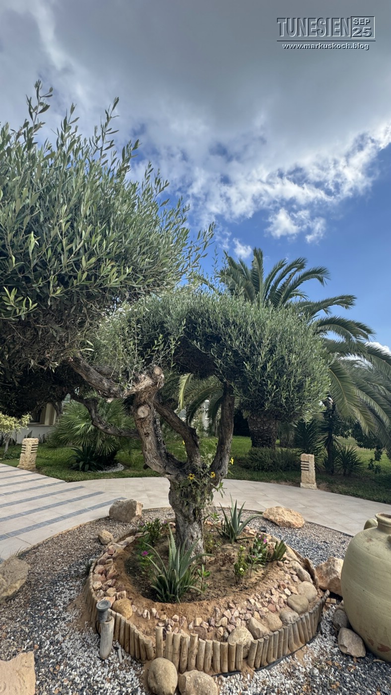 20250903-13_magiclife_penelope_beach_djerba_tunesien_mk847