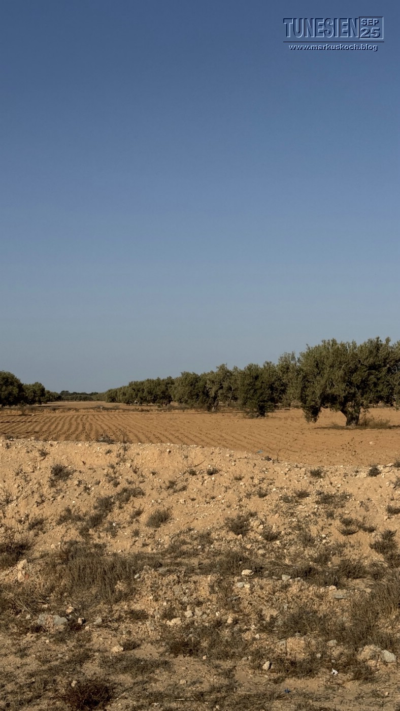 20250903-13_magiclife_penelope_beach_djerba_tunesien_mk123