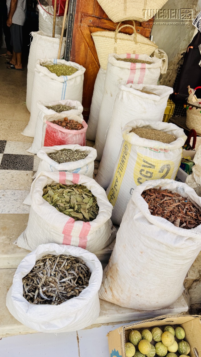 20250903-13_magiclife_penelope_beach_djerba_tunesien_mk155