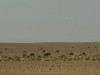 20250903-13_magiclife_penelope_beach_djerba_tunesien_mk184