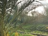 20250903-13_magiclife_penelope_beach_djerba_tunesien_mk210