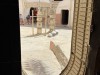 20250903-13_magiclife_penelope_beach_djerba_tunesien_mk373