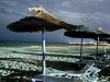20250903-13_magiclife_penelope_beach_djerba_tunesien_mk563