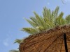 20250903-13_magiclife_penelope_beach_djerba_tunesien_mk617