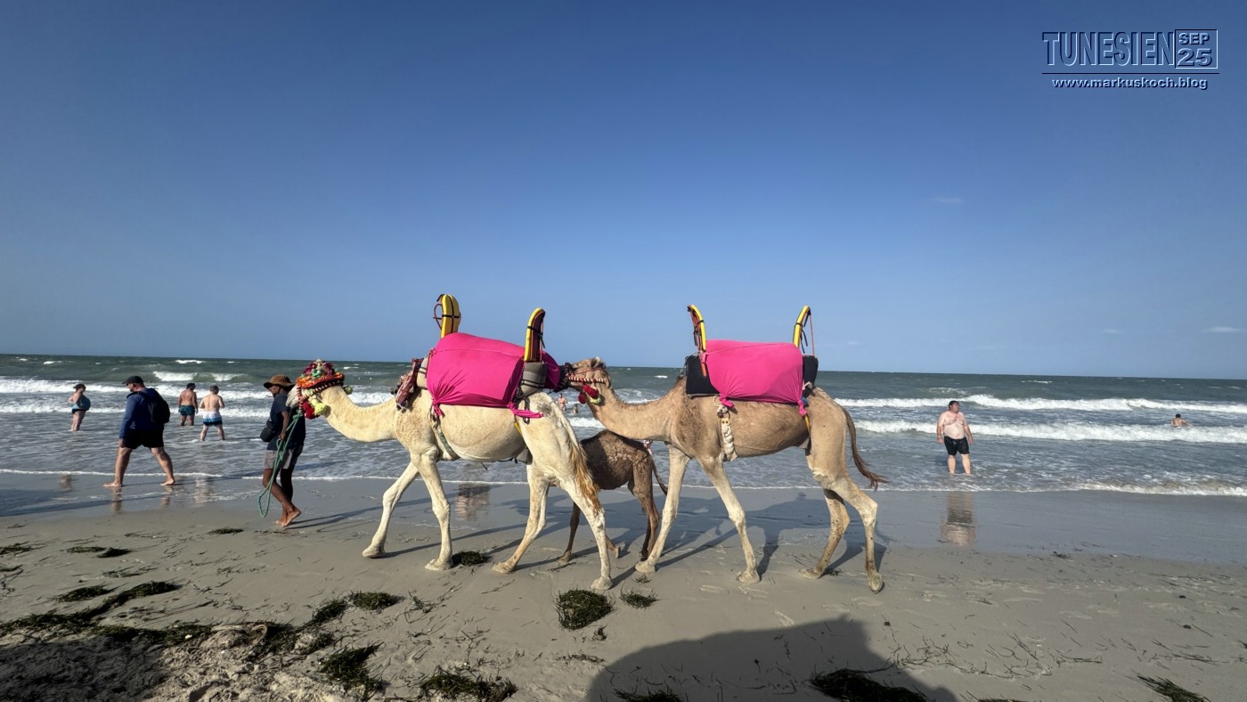 20250903-13_magiclife_penelope_beach_djerba_tunesien_mk779