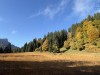20251010-14_oberstdorf_mk441