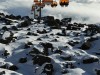 20260116-20_skiing_ischgl_galtuer_kappl_mk294